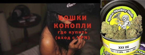 сатива Дмитров