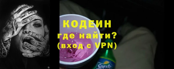 гашик Дмитриев