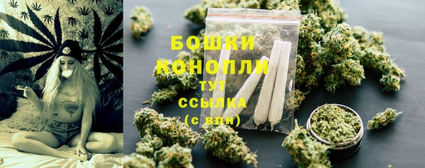 сатива Дмитров