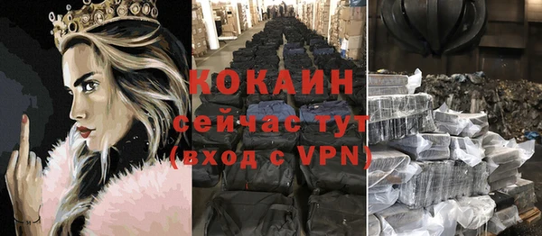 сатива Дмитров