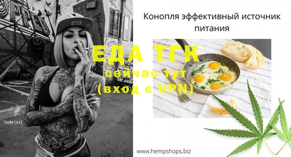 гашик Дмитриев