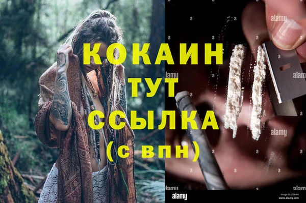 сатива Дмитров