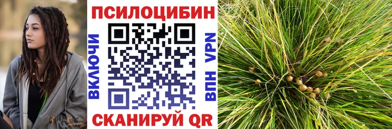 Галлюциногенные грибы прущие грибы  купить  цена  Дрезна 